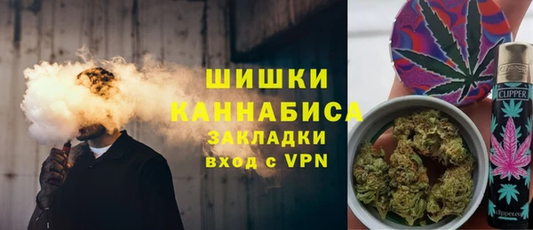 ALPHA PVP Ельня