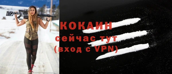 ALPHA PVP Ельня