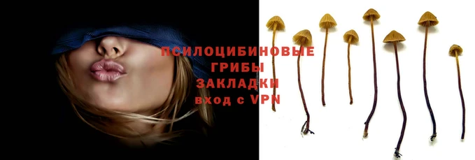 ALPHA PVP Ельня