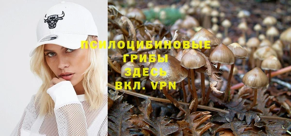 apvp Покровск