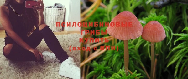 не бодяженный Елизово