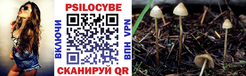 Псилоцибиновые грибы Psilocybe  Верхоянск 